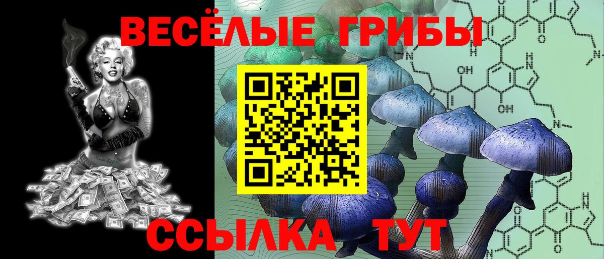 Псилоцибиновые грибы мицелий Муром